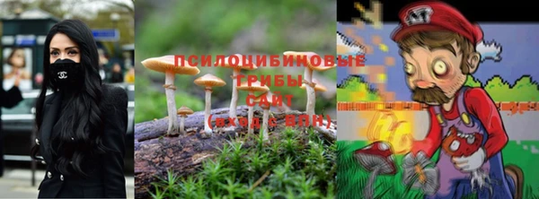 прущие крисы Бугульма