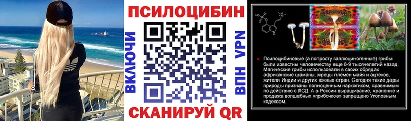 Галлюциногенные грибы Psilocybine cubensis  блэк спрут ссылка  Мариинский Посад 